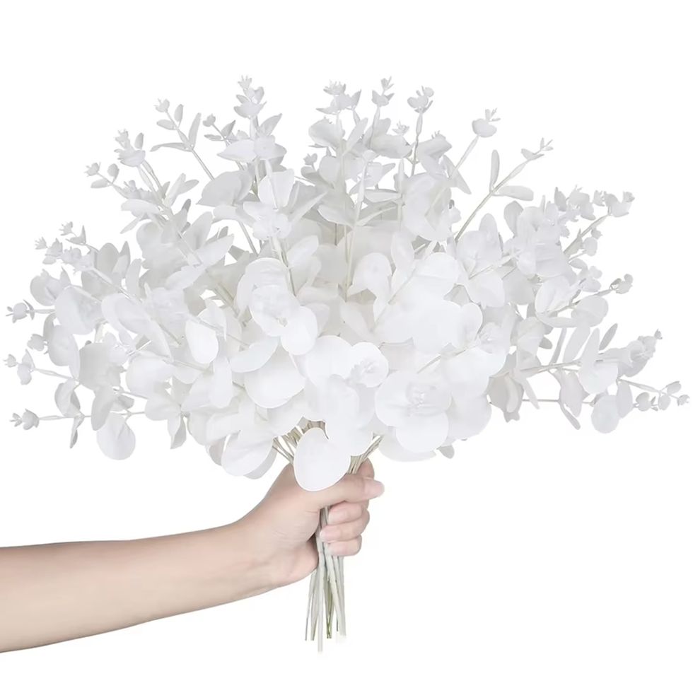 Palm Leaf Dried - 4 Forks of Money Leaves Artificial