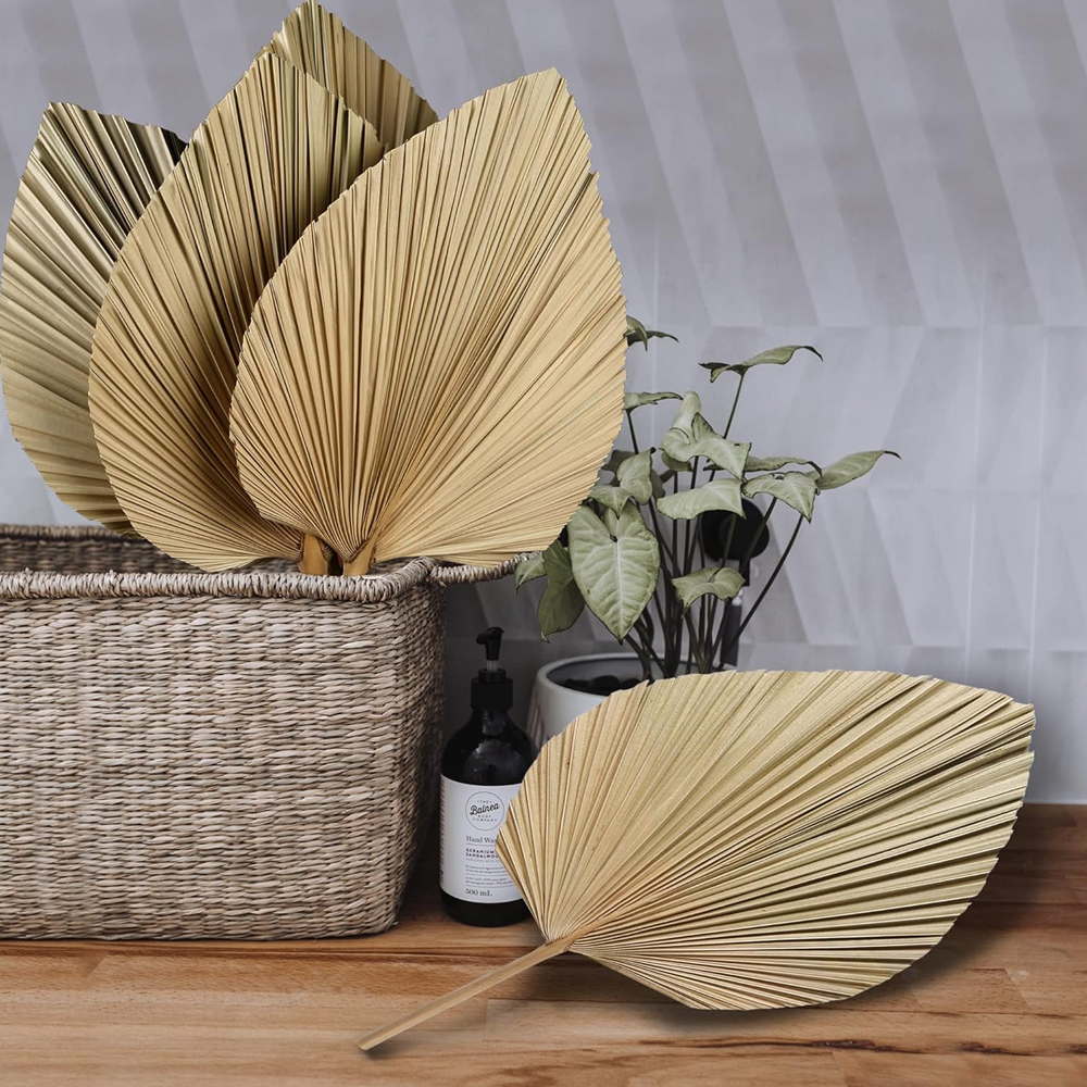 Palm Leaf Dried - Dried Palm Leaves Boho Palm Leaves