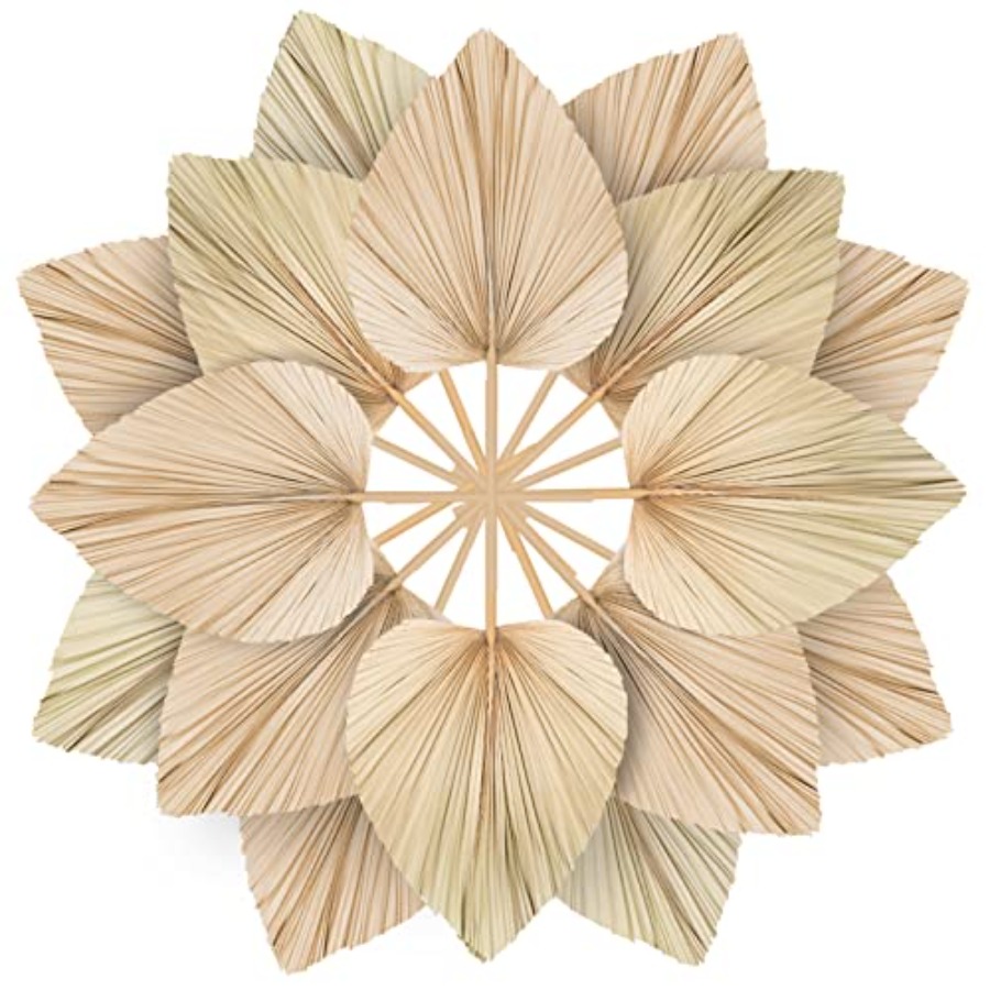 10 Large Bulk Boho Dried Palm  – обзор и цена Palm Leaf Dried