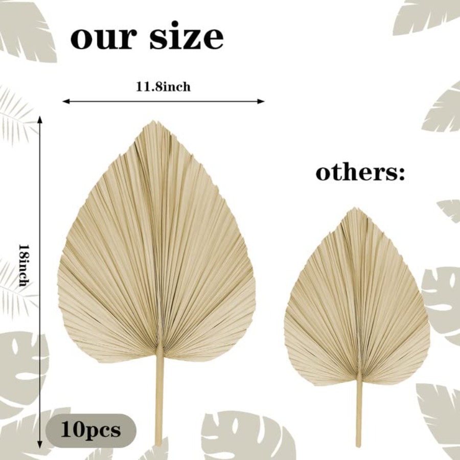 10 Large Bulk Boho Dried Palm  – обзор и цена Palm Leaf Dried