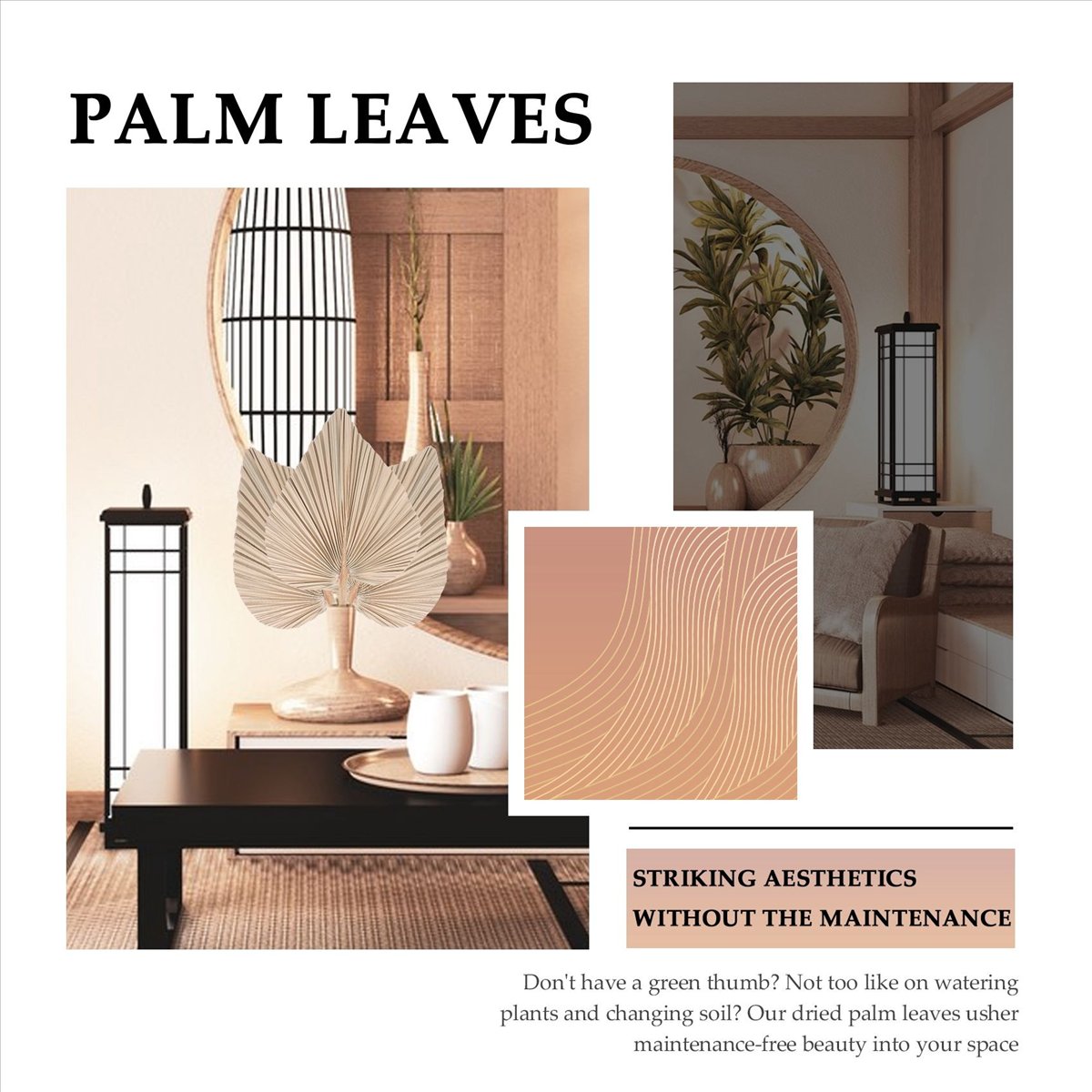 NOCM Dried Palm Leaves Room De – обзор и цена Palm Leaf Dried