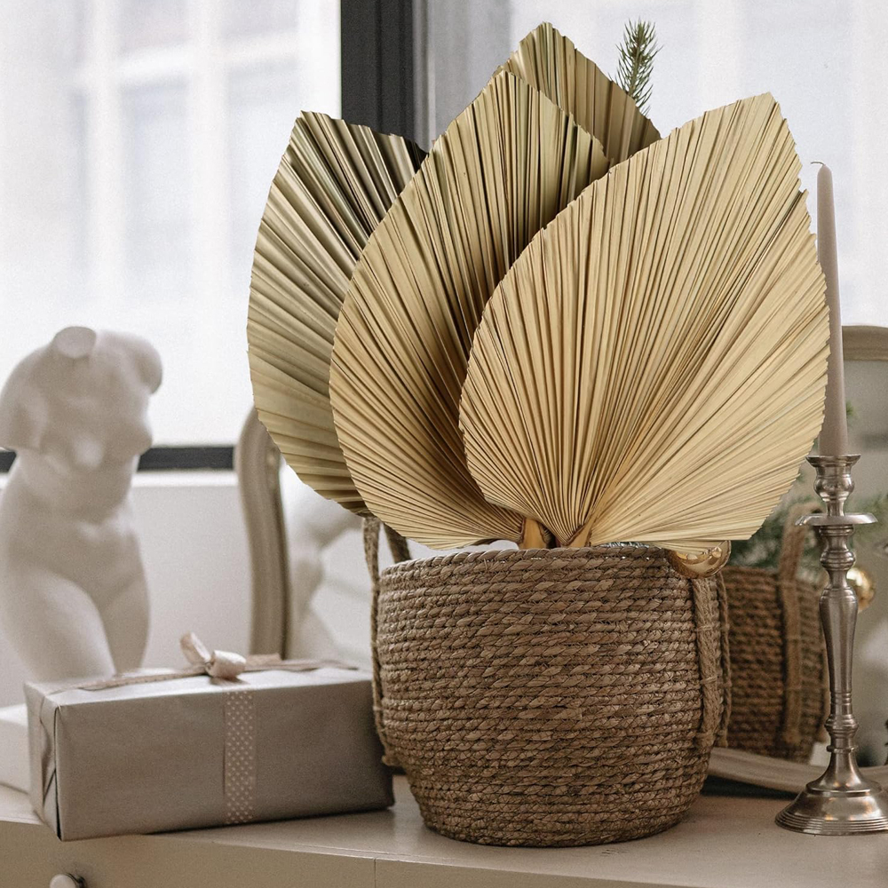 Dried Palm Leaves Boho Palm Le – обзор и цена Palm Leaf Dried