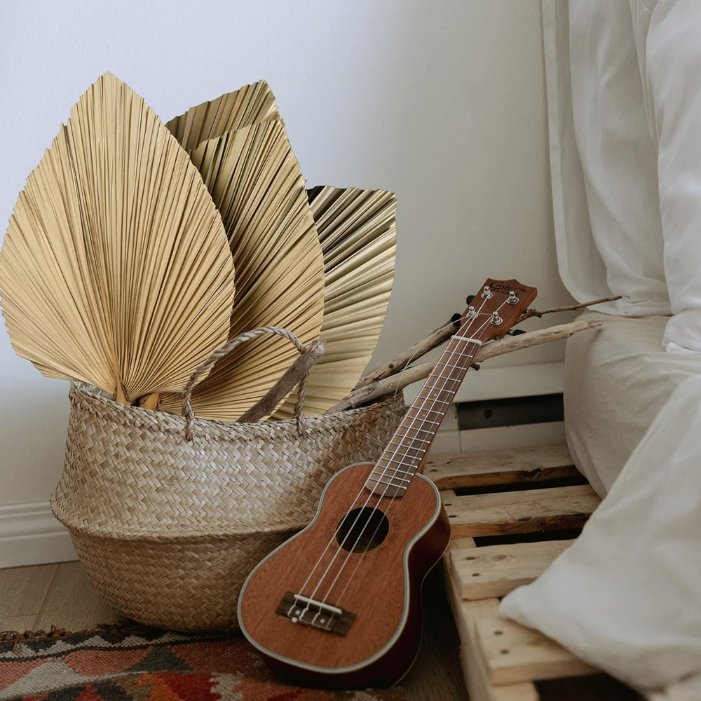 Dried Palm Leaves Boho Palm Le – обзор и цена Palm Leaf Dried