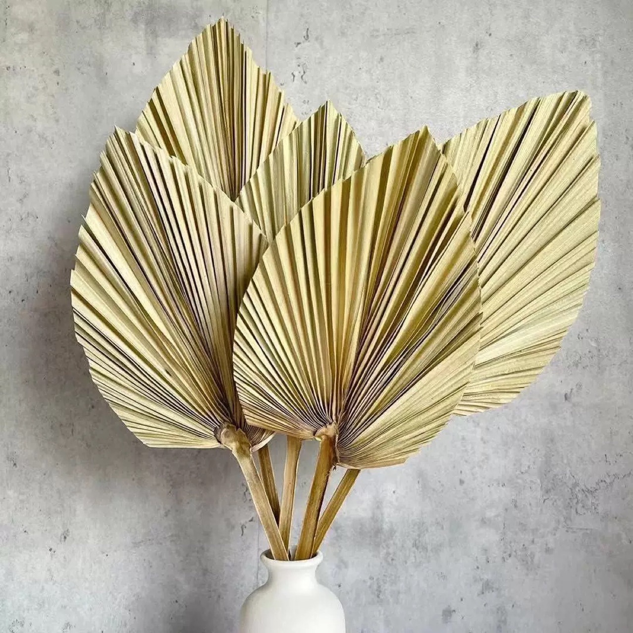3 PCS Natural Dried Palm Leave – обзор и цена Palm Leaf Dried