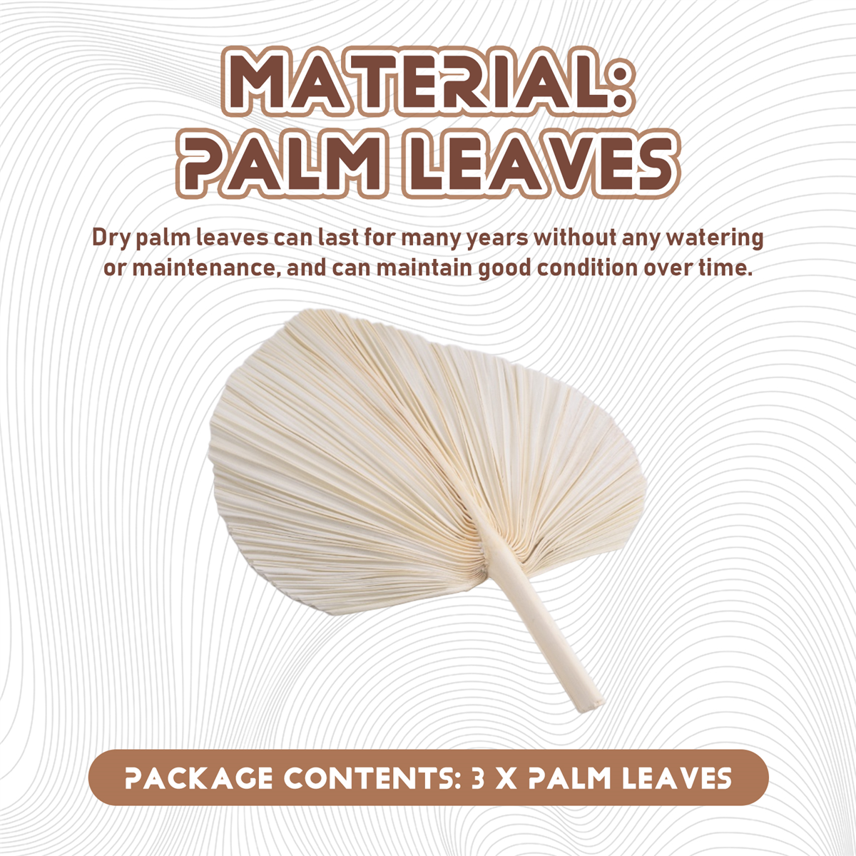 Qualitative Large White Dried  – обзор и цена Palm Leaf Dried