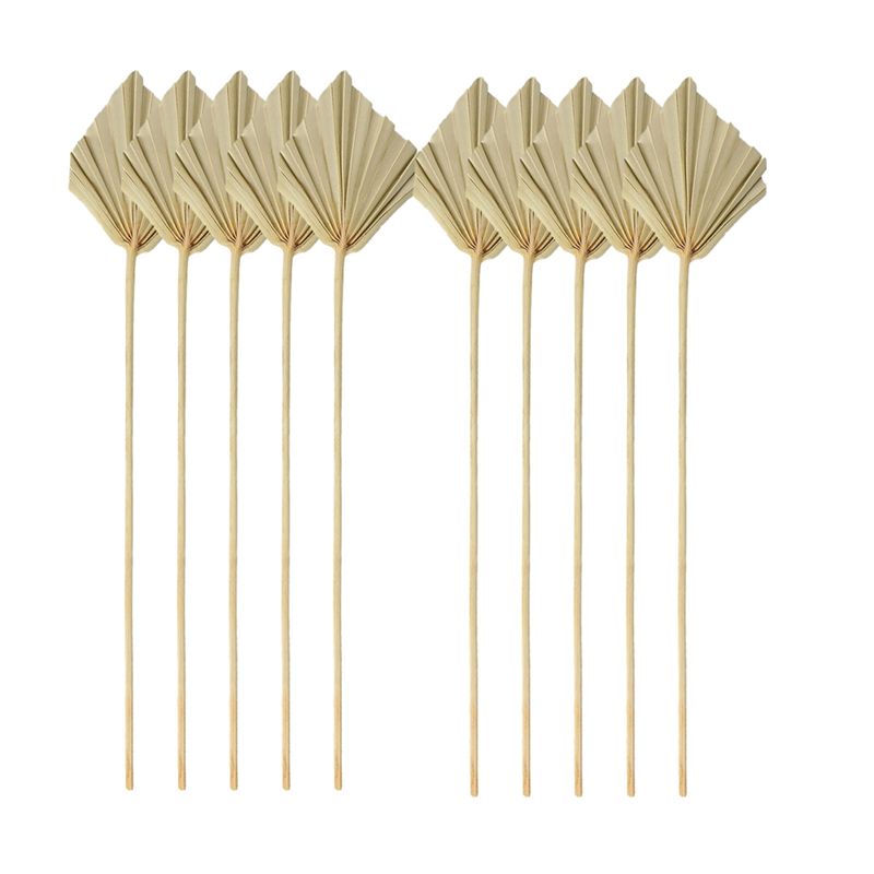TFORU-Boho Dried Palm Spears S – обзор и цена Palm Leaf Dried