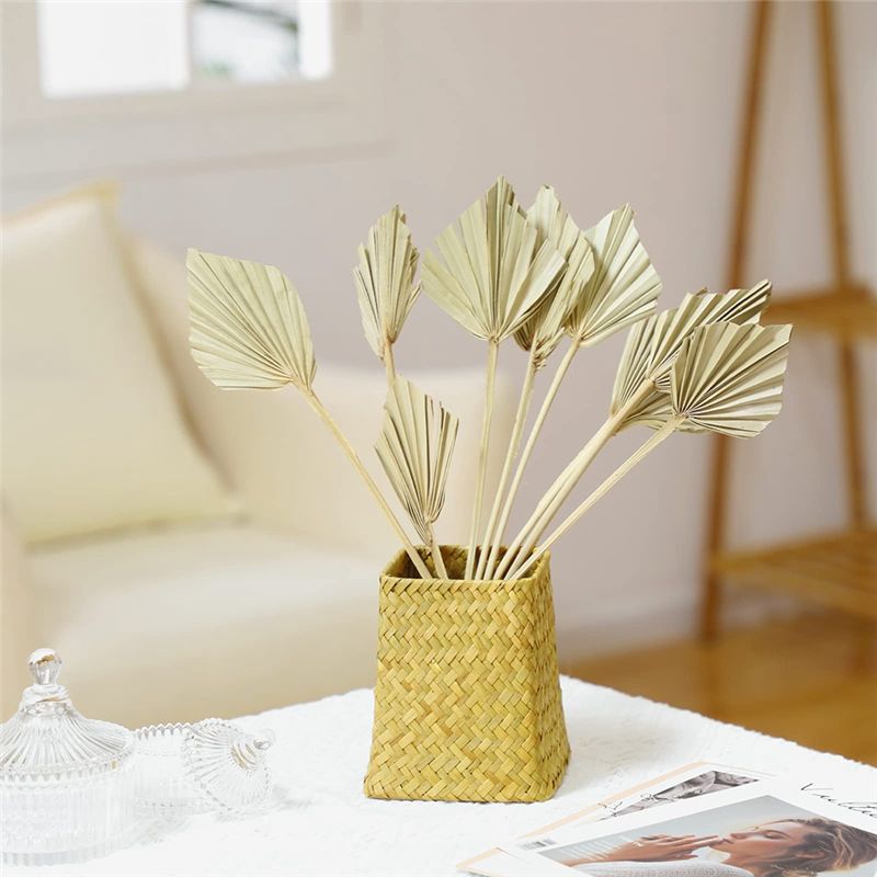 TFORU-Boho Dried Palm Spears S – обзор и цена Palm Leaf Dried