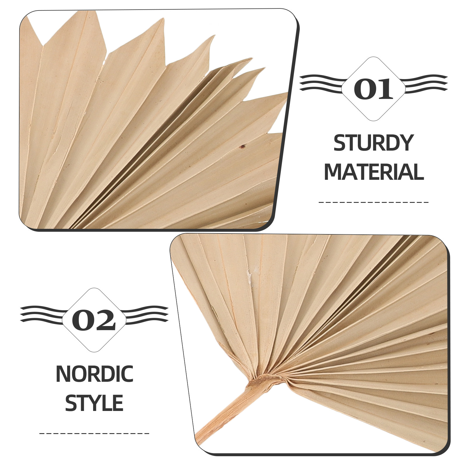 4Pcs Dried Palm Leaf Decor Wal – обзор и цена Palm Leaf Dried