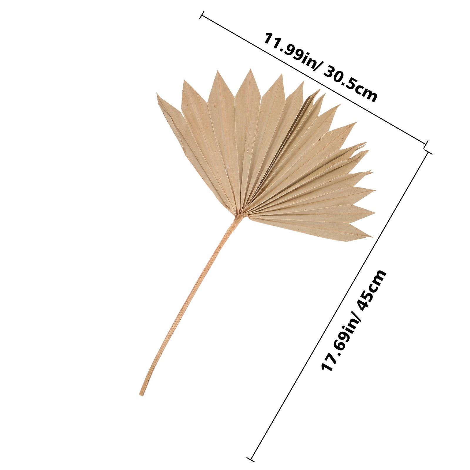 4Pcs Dried Palm Leaf Decor Wal – обзор и цена Palm Leaf Dried