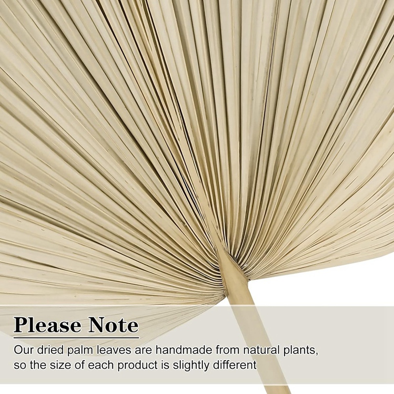 New 6PCS Dried Palm Leaves Nat – обзор и цена Palm Leaf Dried
