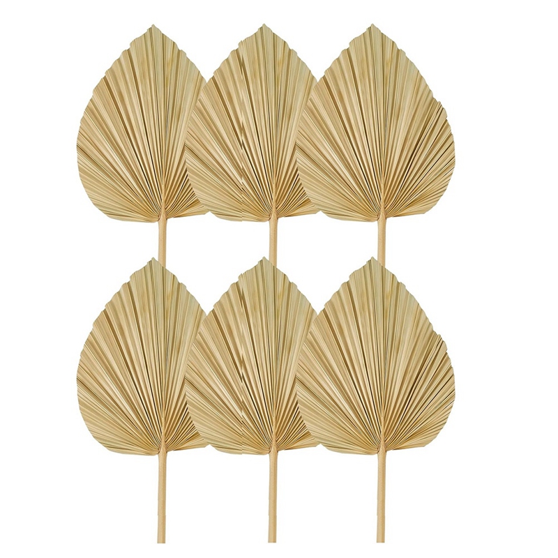 New 6PCS Dried Palm Leaves Nat – обзор и цена Palm Leaf Dried