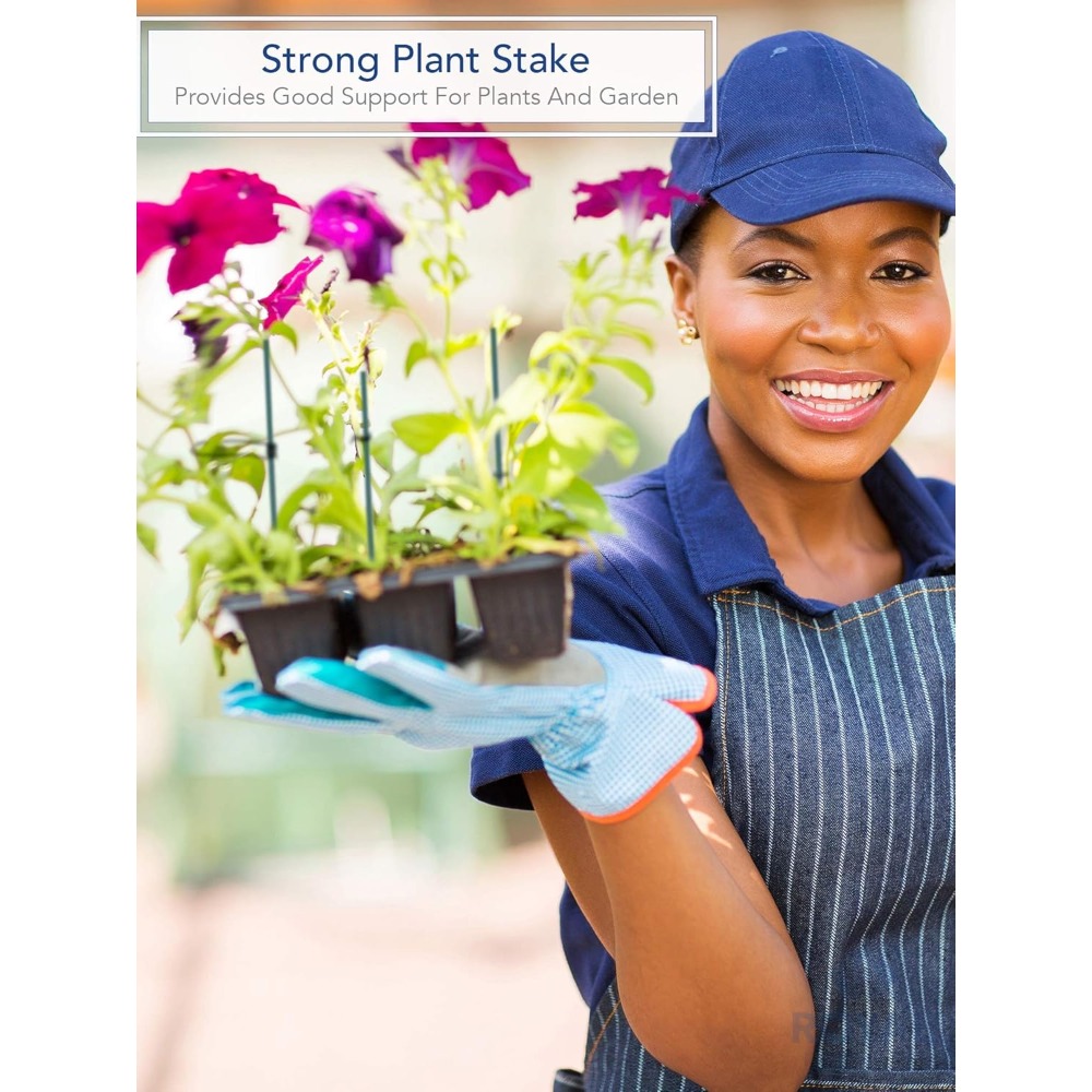 Green Wood Plant Stake, Floral – обзор и цена Floral Picks Wood