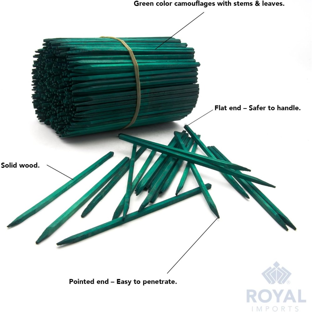 Green Wood Plant Stake, Floral – обзор и цена Floral Picks Wood