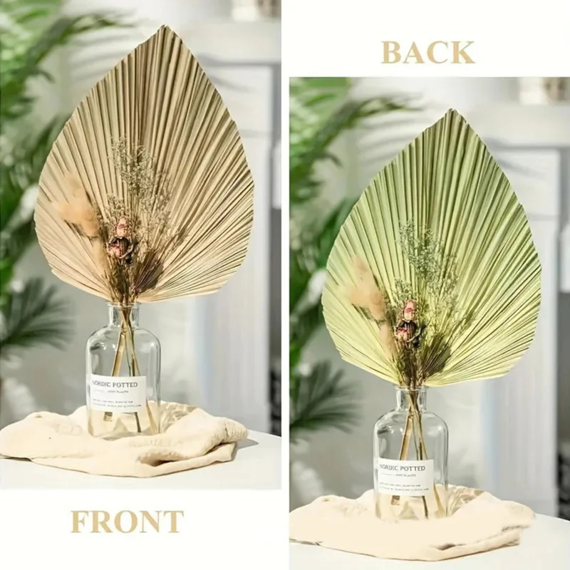 Mini Dried Palm Leaves – Tropi – обзор и цена Palm Leaf Dried