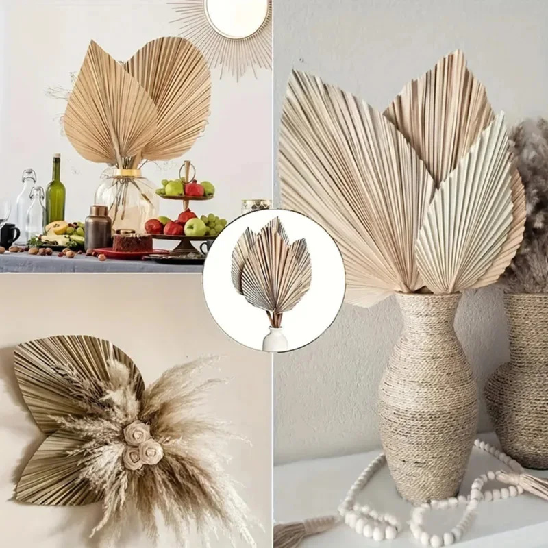 Mini Dried Palm Leaves – Tropi – обзор и цена Palm Leaf Dried