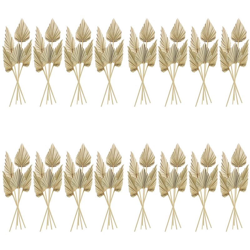 【ORNAMENT】80Pcs Boho Dried Pal – обзор и цена Palm Leaf Dried
