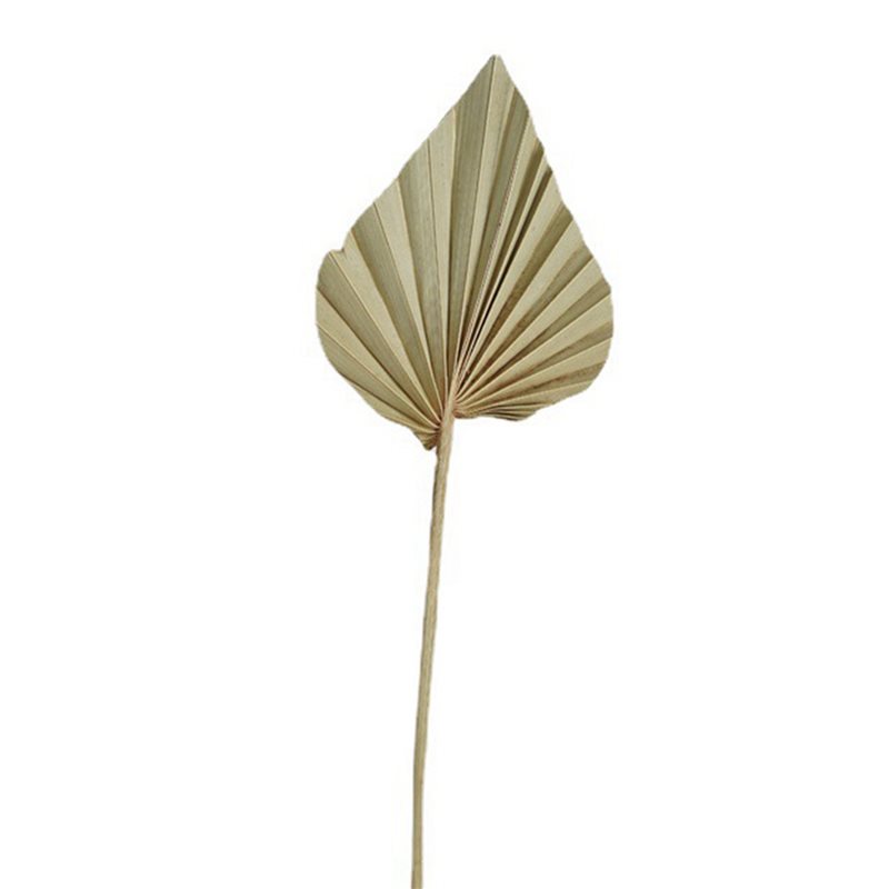 【ORNAMENT】80Pcs Boho Dried Pal – обзор и цена Palm Leaf Dried