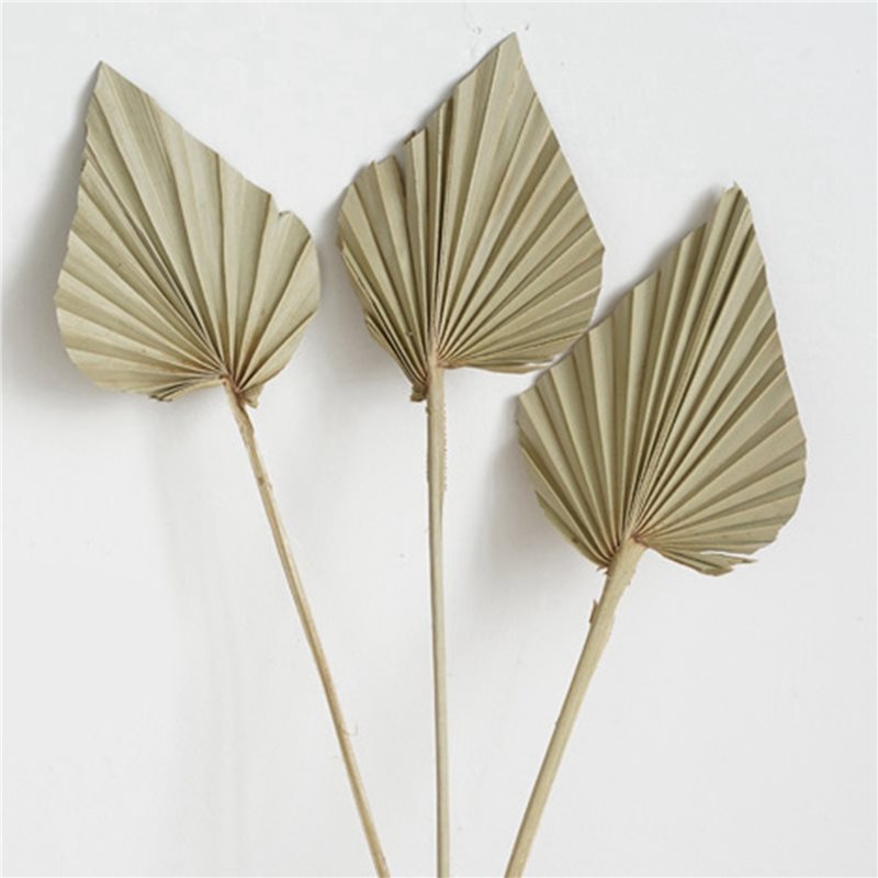 【ORNAMENT】80Pcs Boho Dried Pal – обзор и цена Palm Leaf Dried