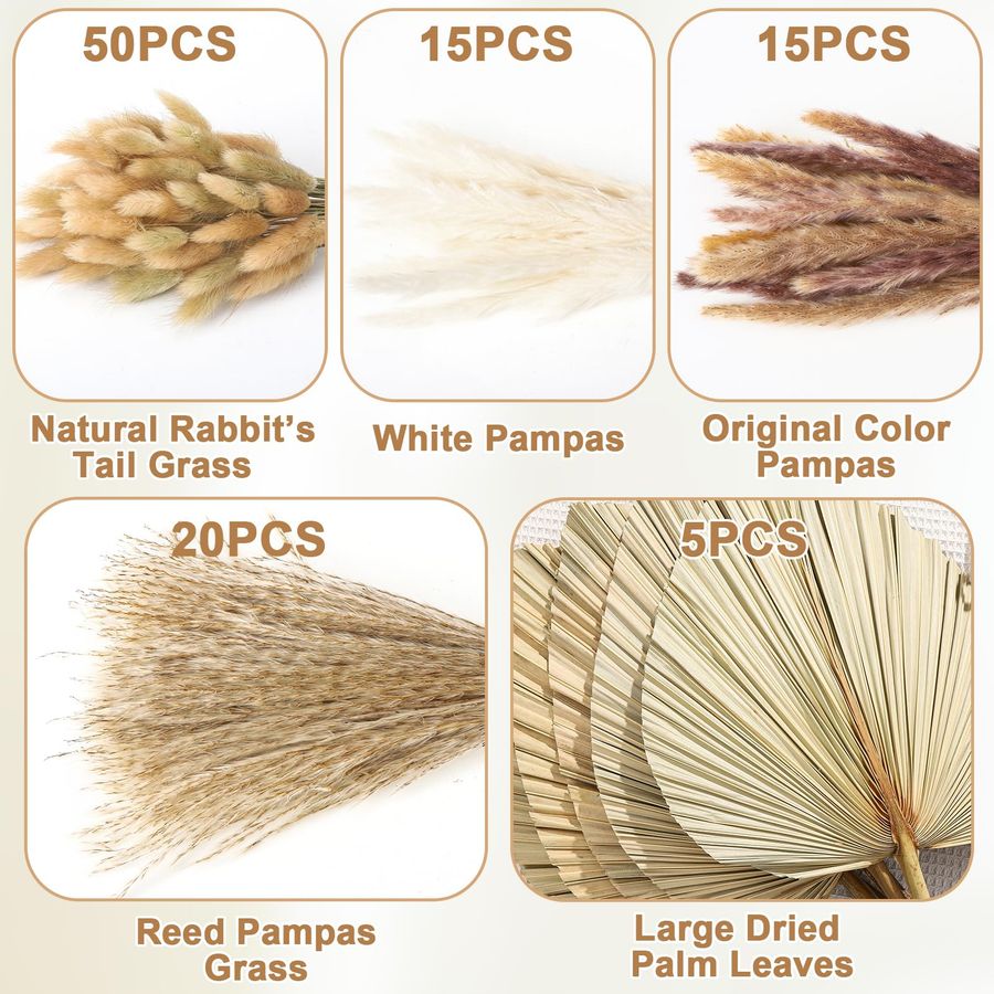 Pcs Boho Dried Pampas Grass De – обзор и цена Palm Leaf Dried