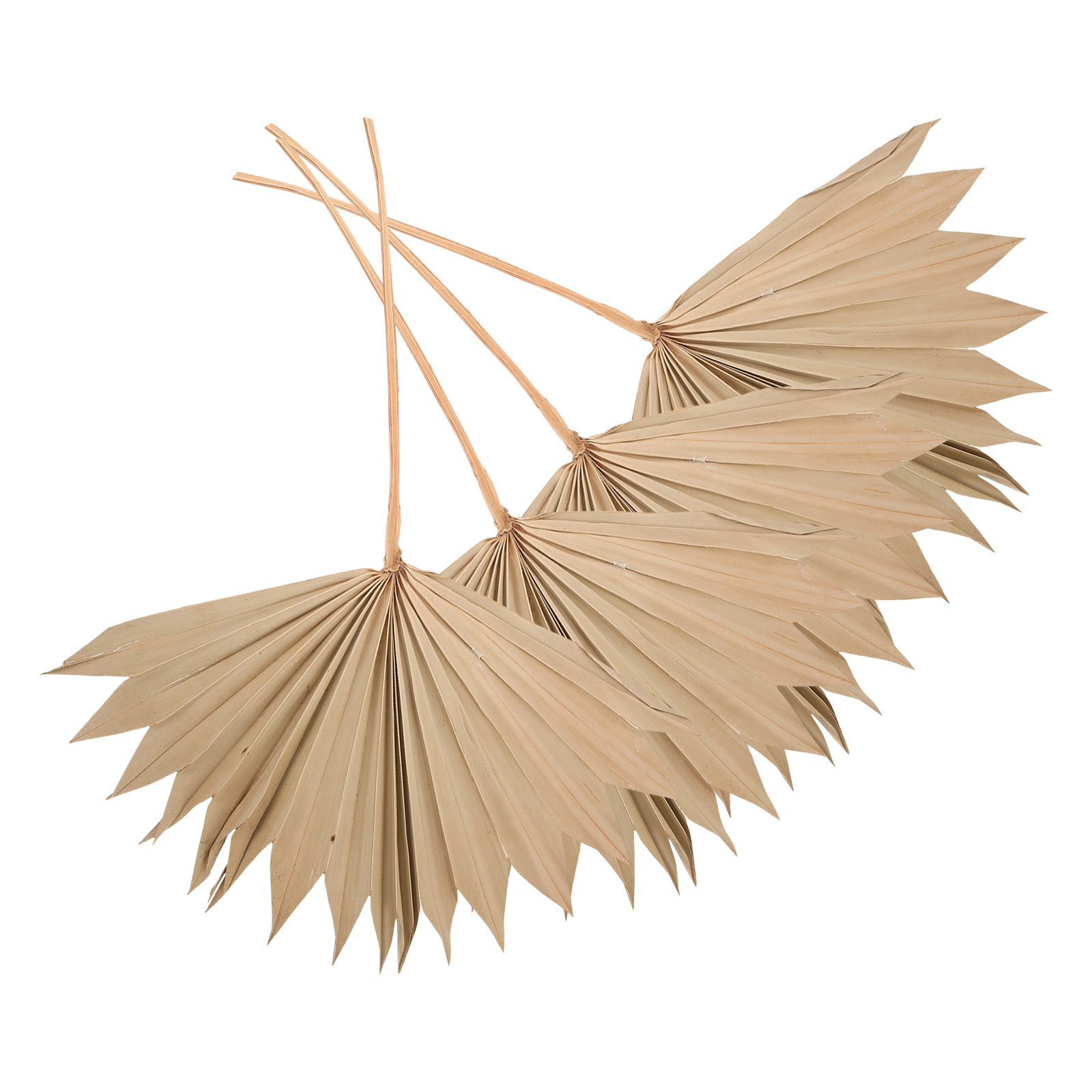 4Pcs Dried Palm Leaf Decor Nat – обзор и цена Palm Leaf Dried